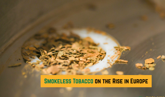 Smokeless Tobacco Products
