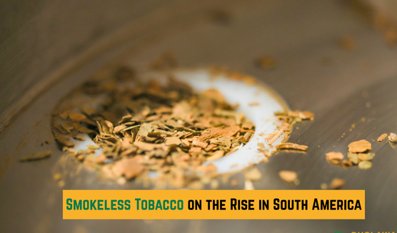 Chewing Tobacco and Nicotine Pouches in South America